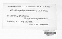 Image Associated With the Occurence
